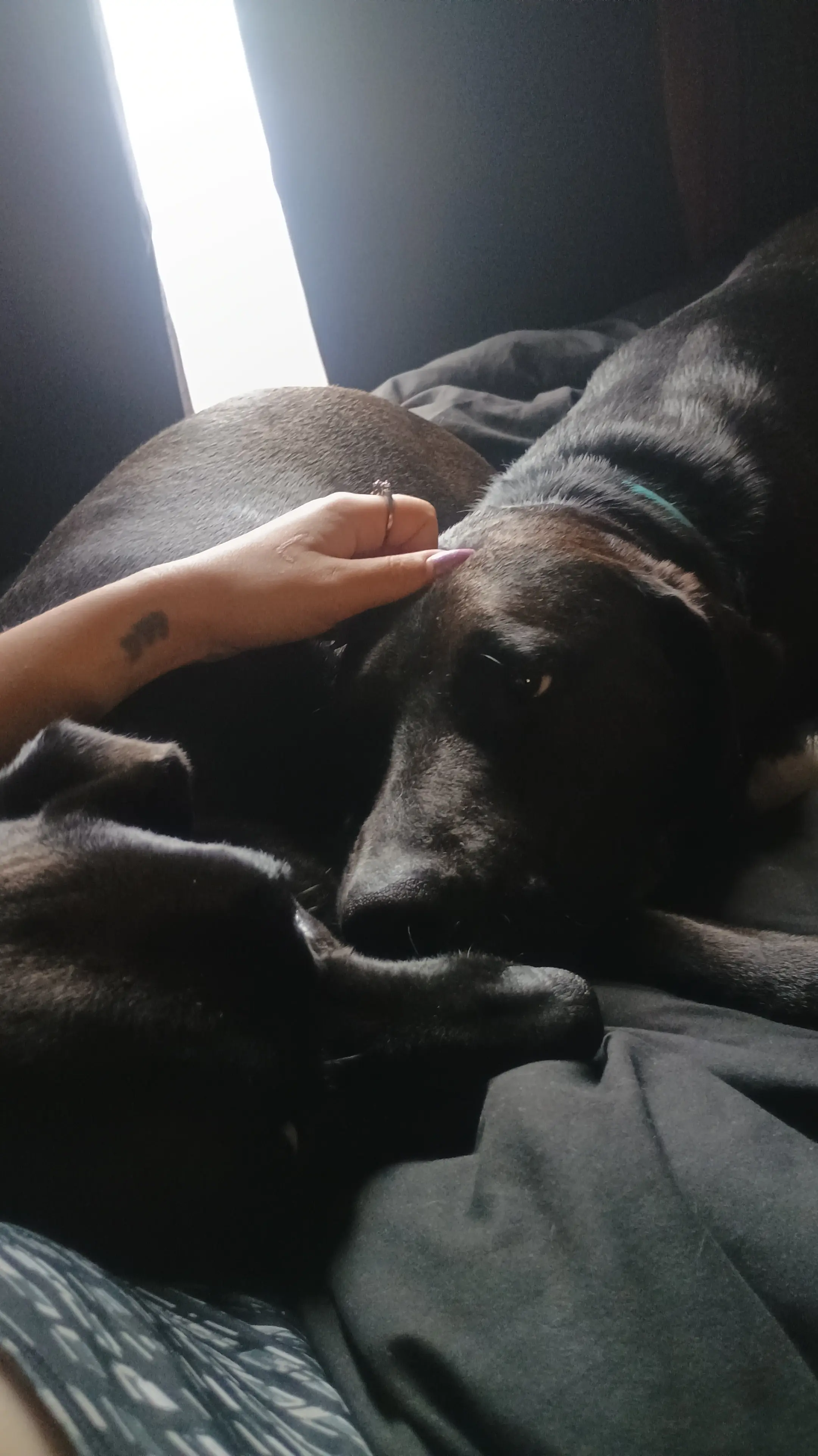 Trinity Perzee profile pic