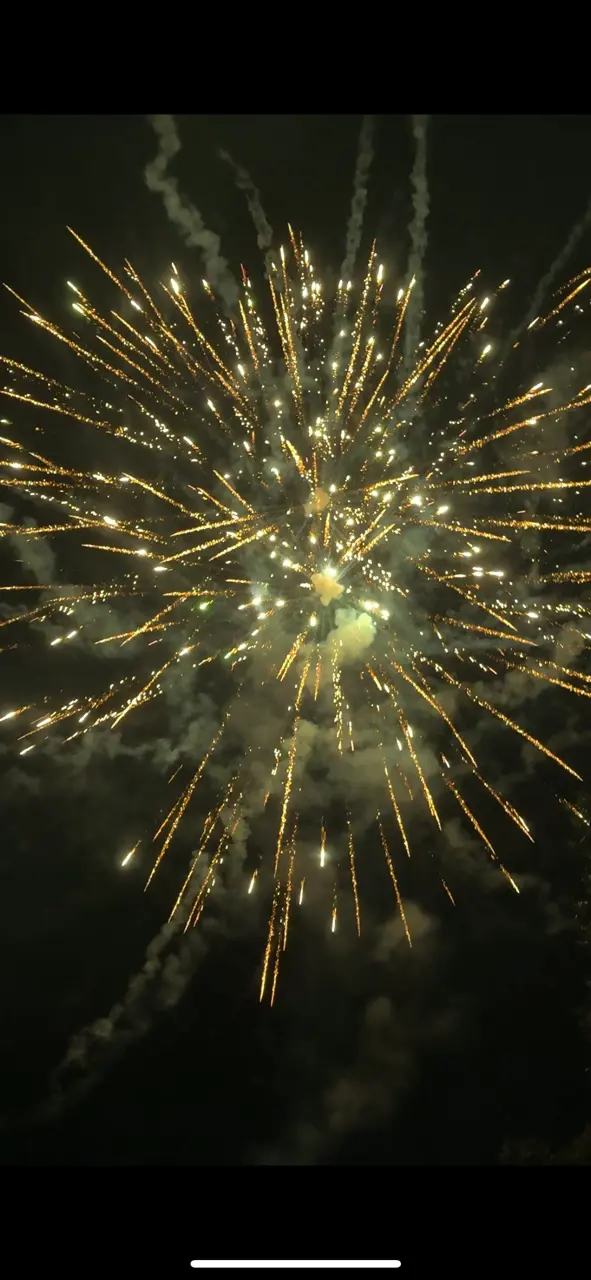 Normandy Quinn profile pic