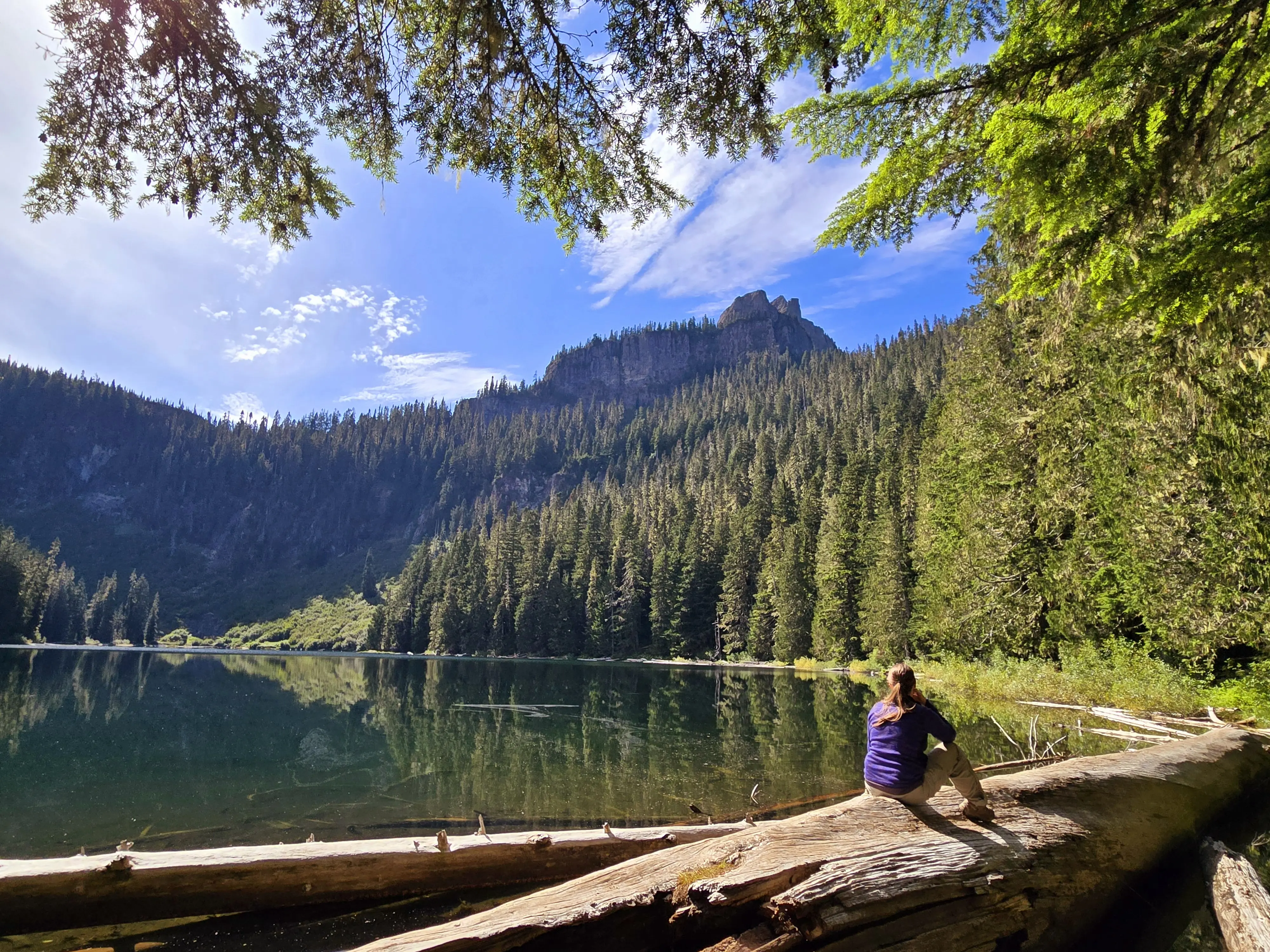 Reading_Raynebow π¦ profile pic