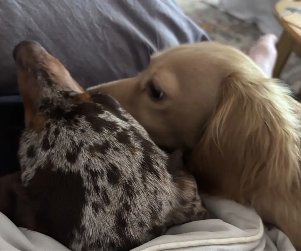 Ethan BtB profile pic