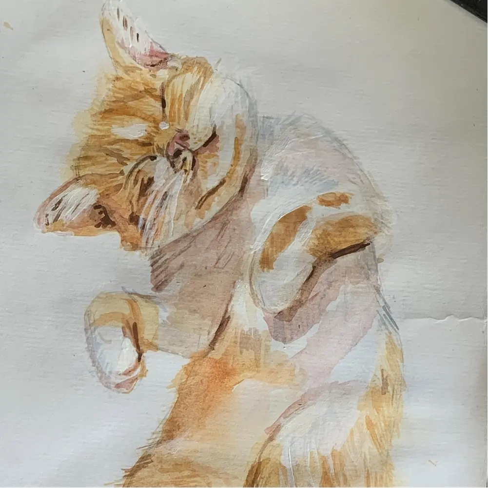 Irabelli profile pic