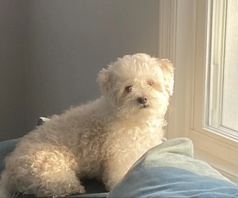 Mary-Ann Maronski profile pic