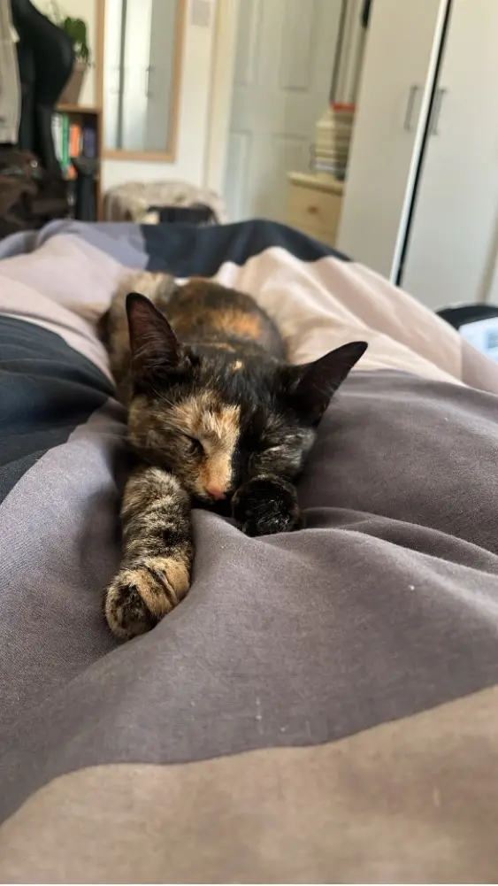 Jakehock profile pic