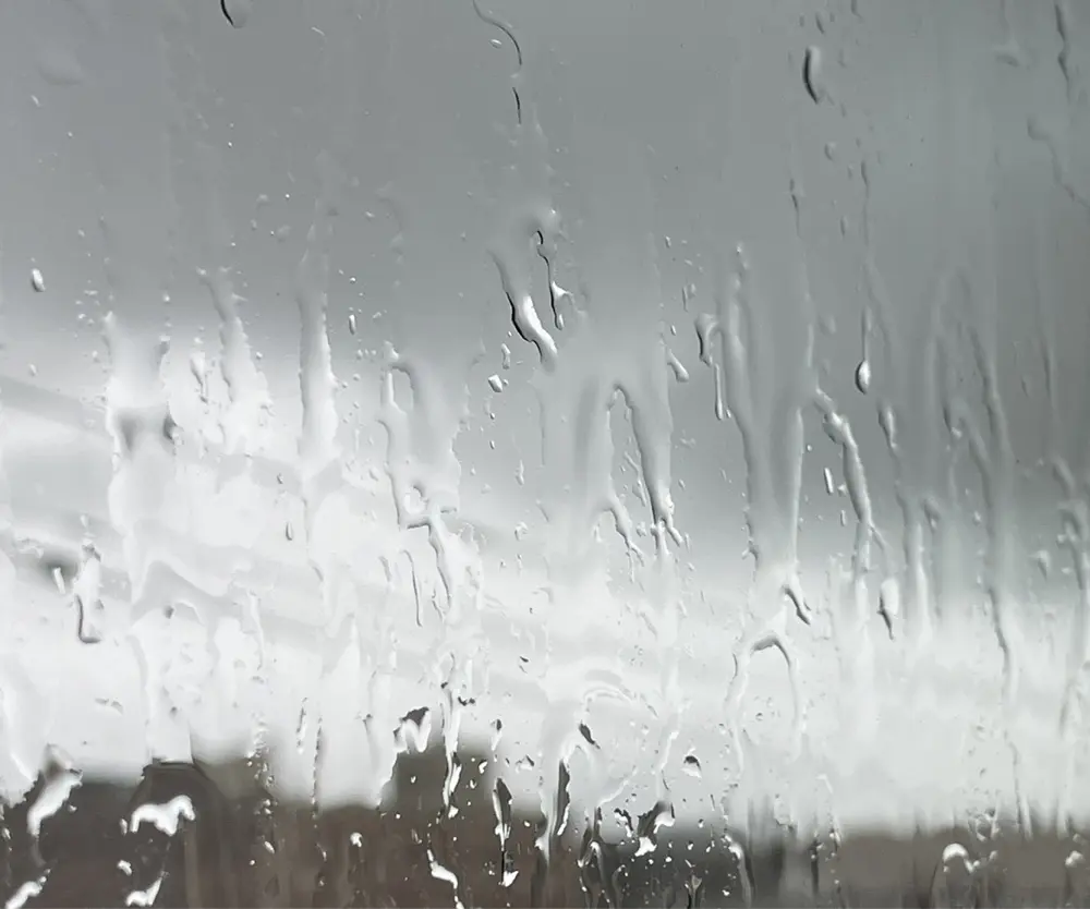 Ling Ling Chang 🌿 avatar