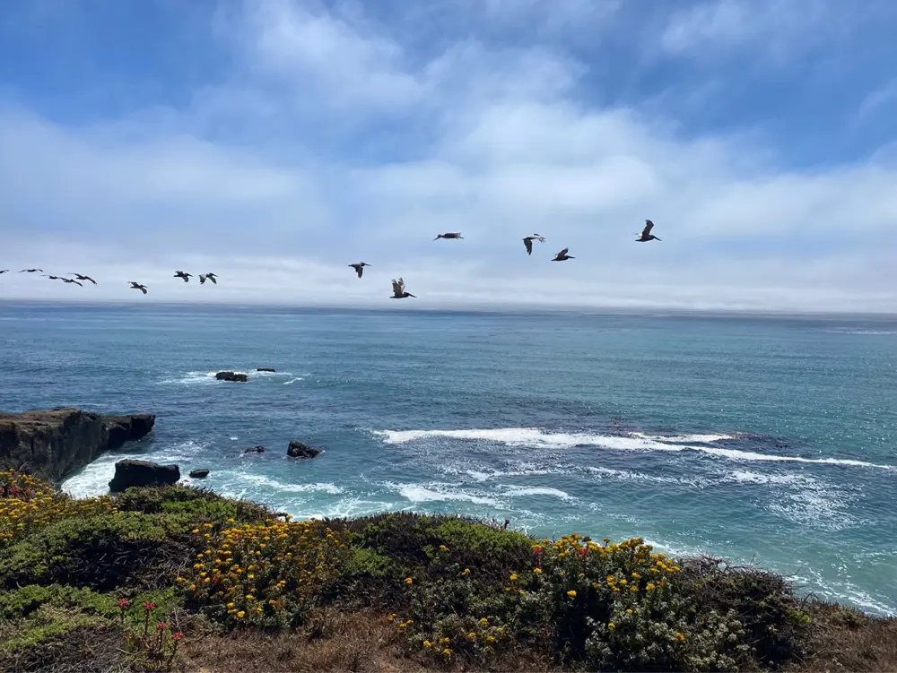 Jamie Lynne Pratt profile pic