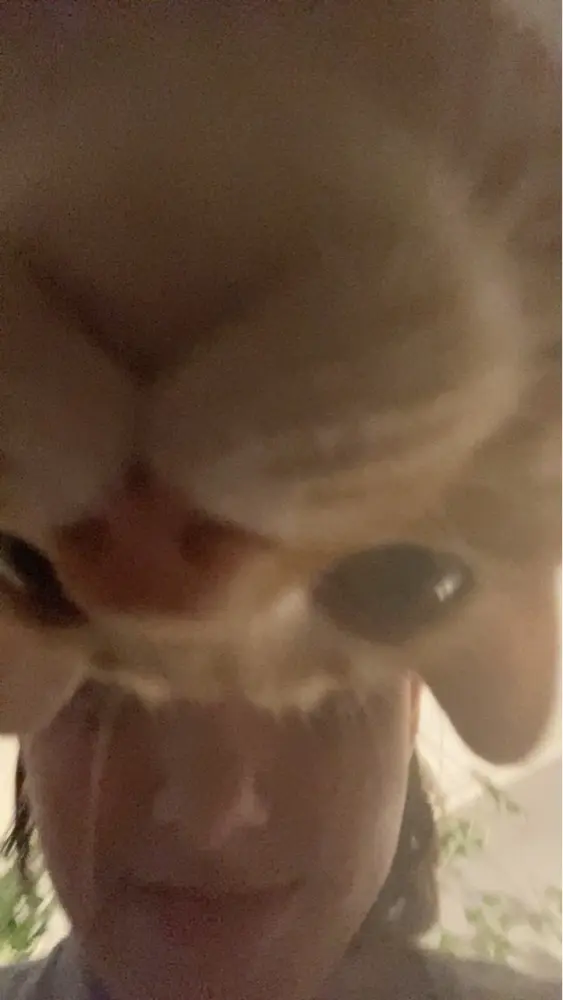 FireRainbow profile pic