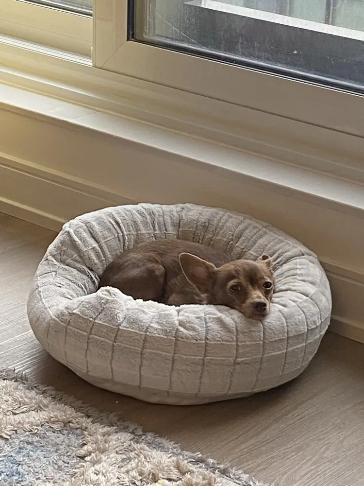 SeeMonty profile pic