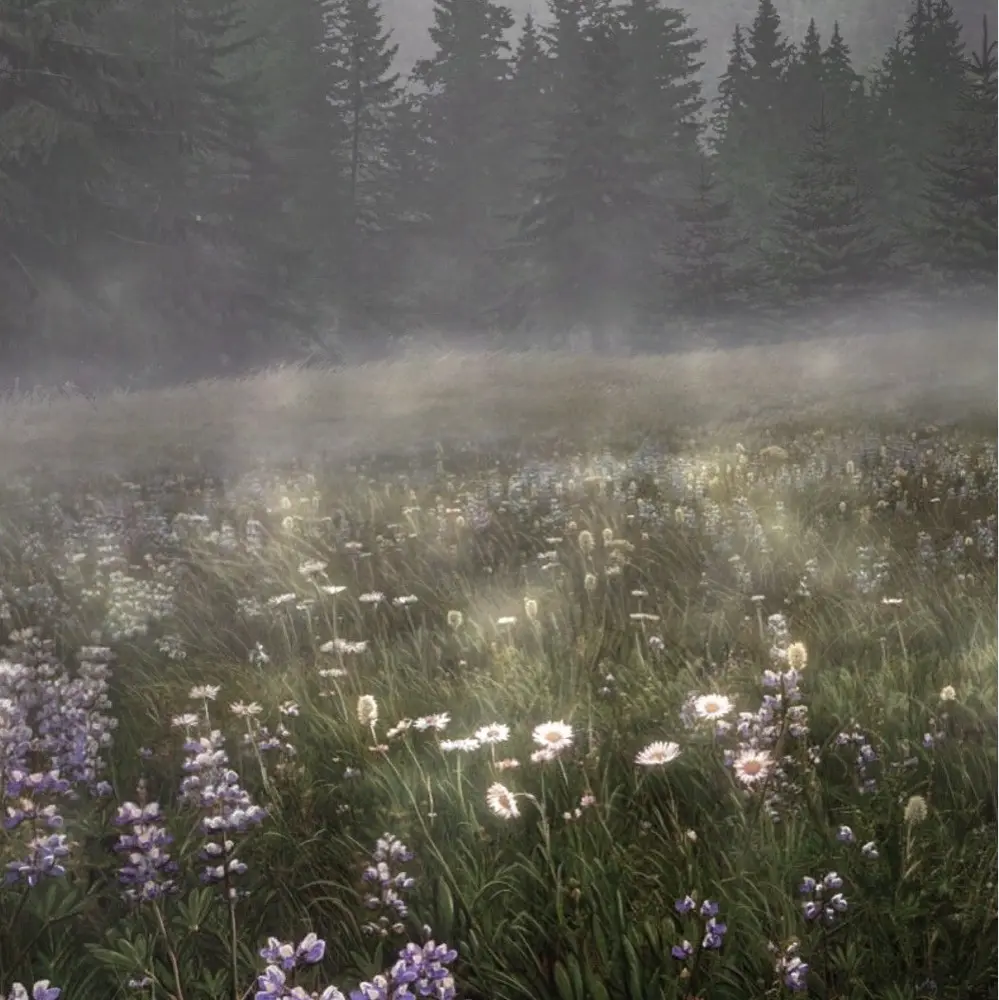 kai 🤍 profile pic