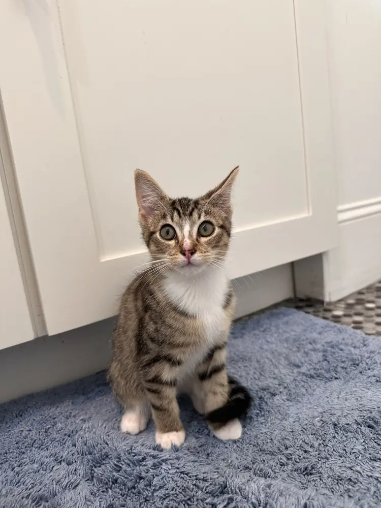 charlesullivan profile pic