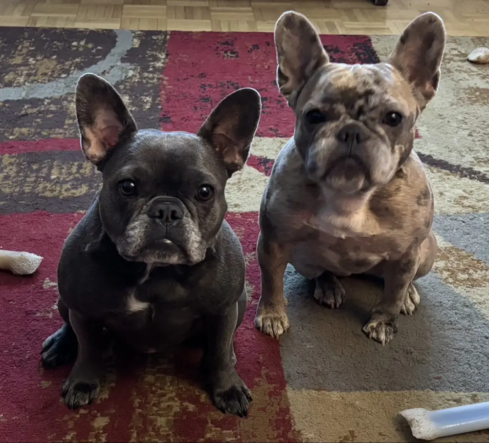 Lucie Coulombe profile pic