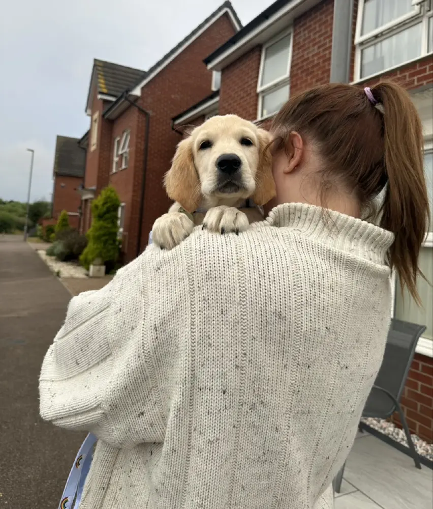 page🧚‍♀️🫶🫧 profile pic