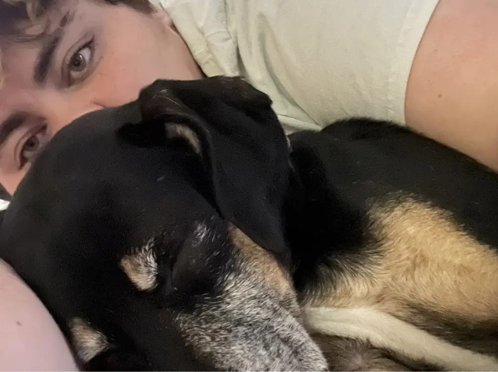 Kye Sproat profile pic