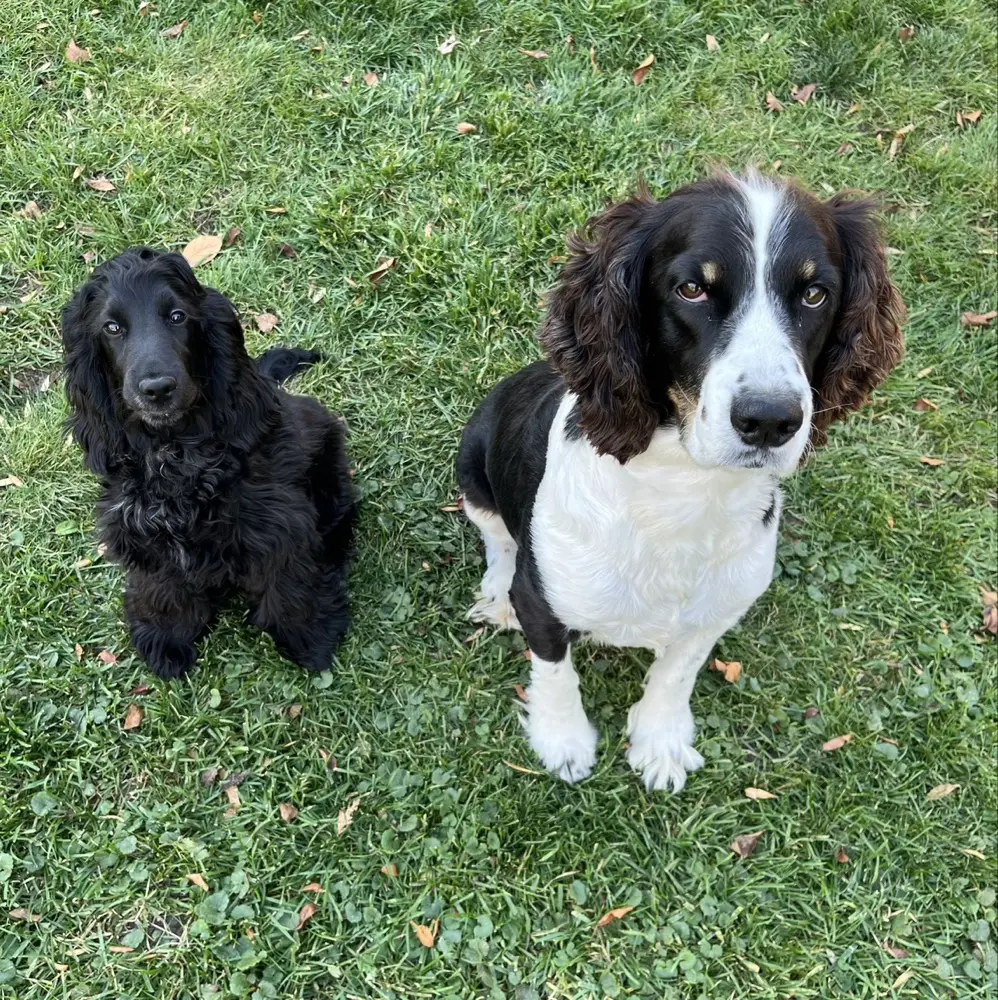 brianb71 profile pic