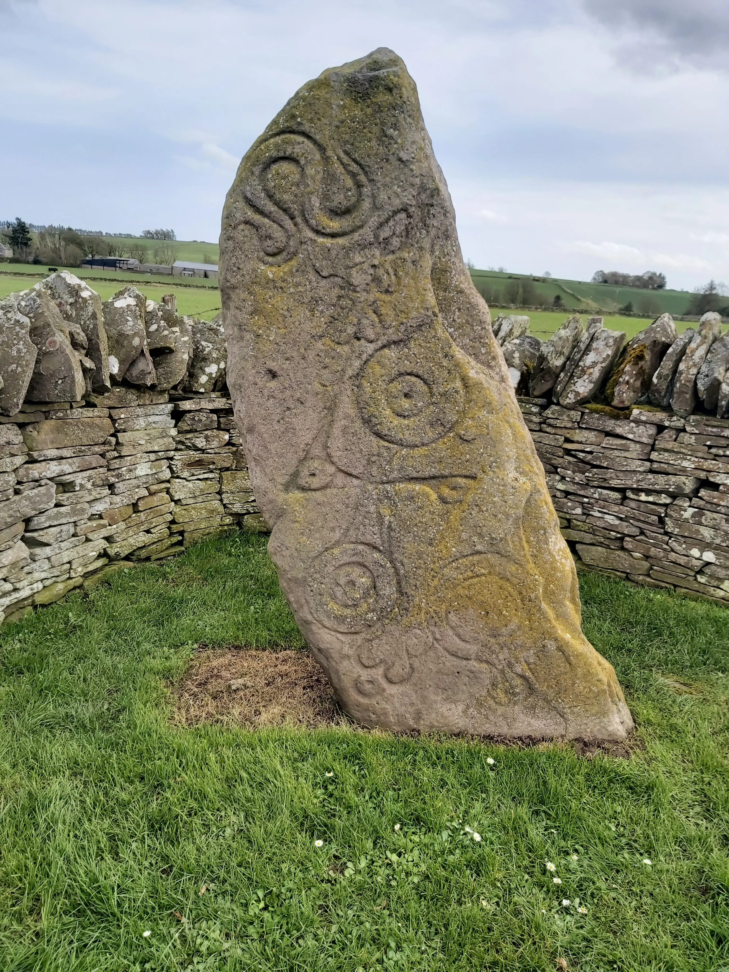 Kat McLaren profile pic