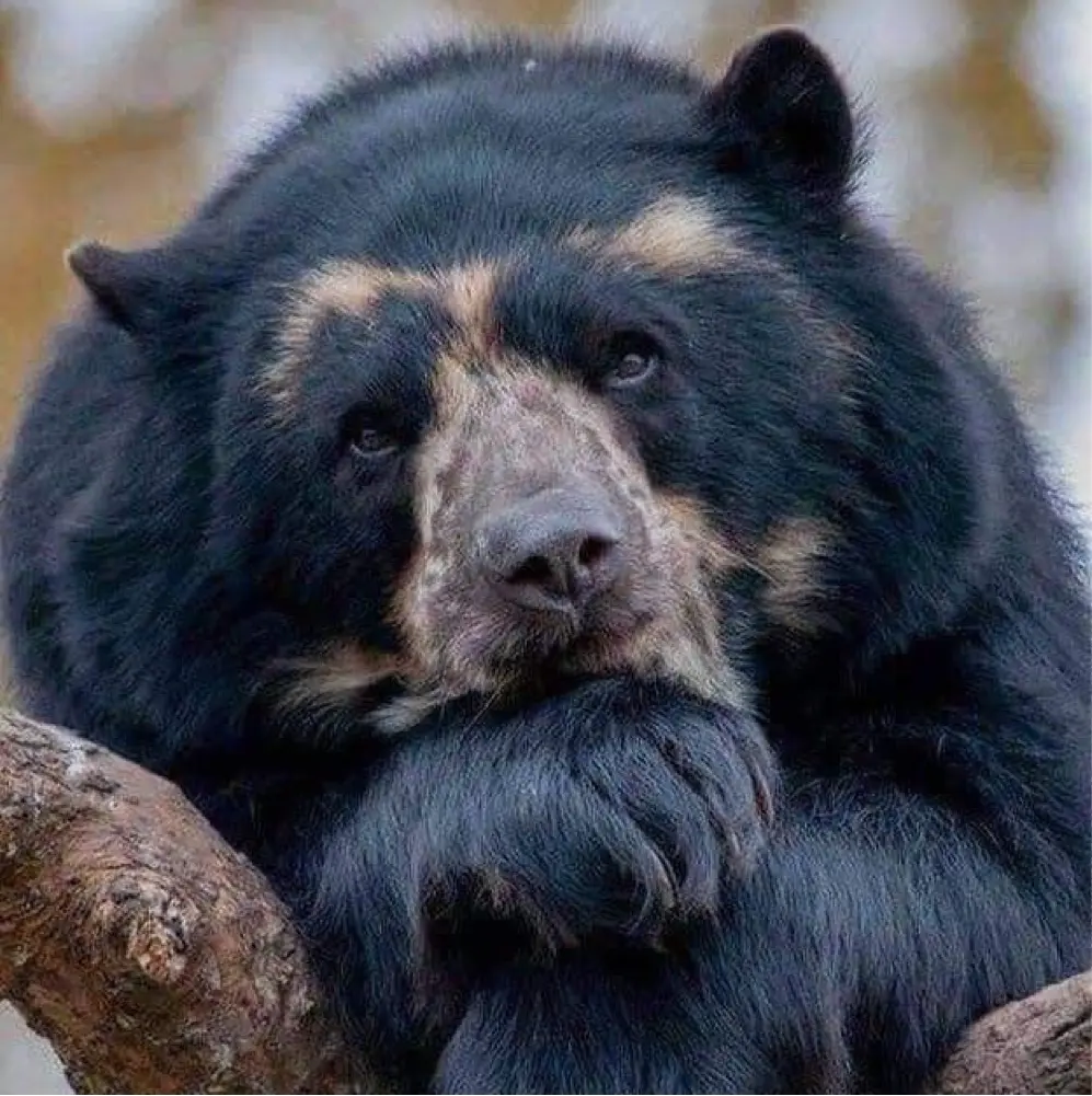 Manzil Mehta profile pic