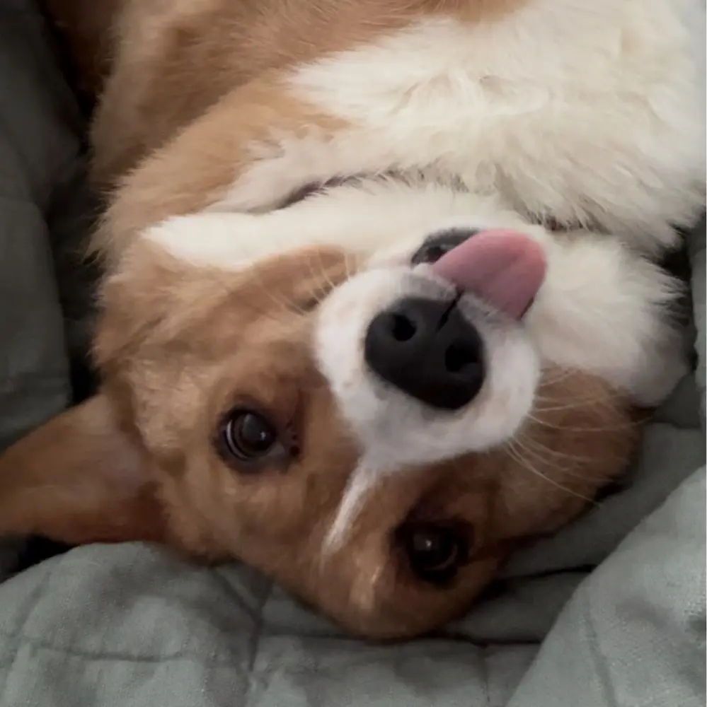 Monica Jurado profile pic