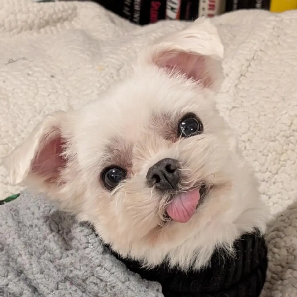 Esther Go profile pic