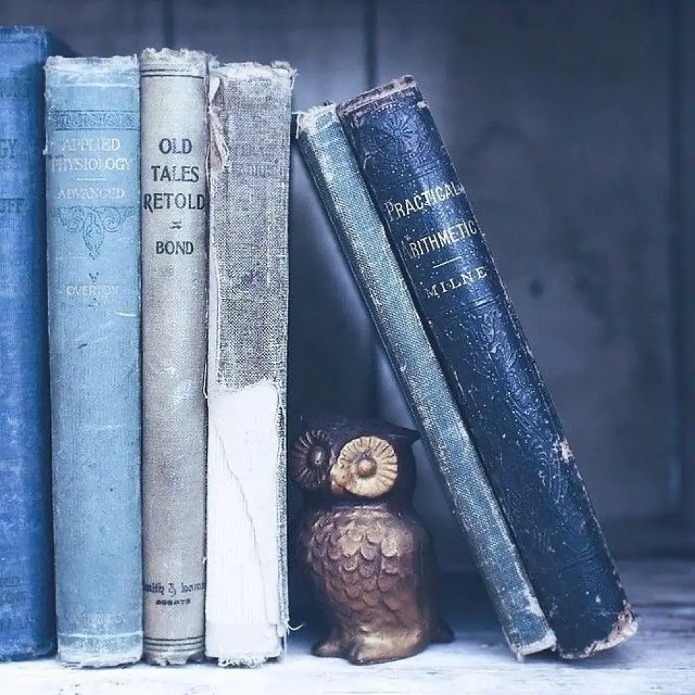 Witch of The Library profile pic