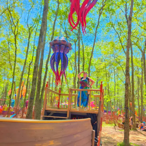 Ivy Calvin Friedman profile pic