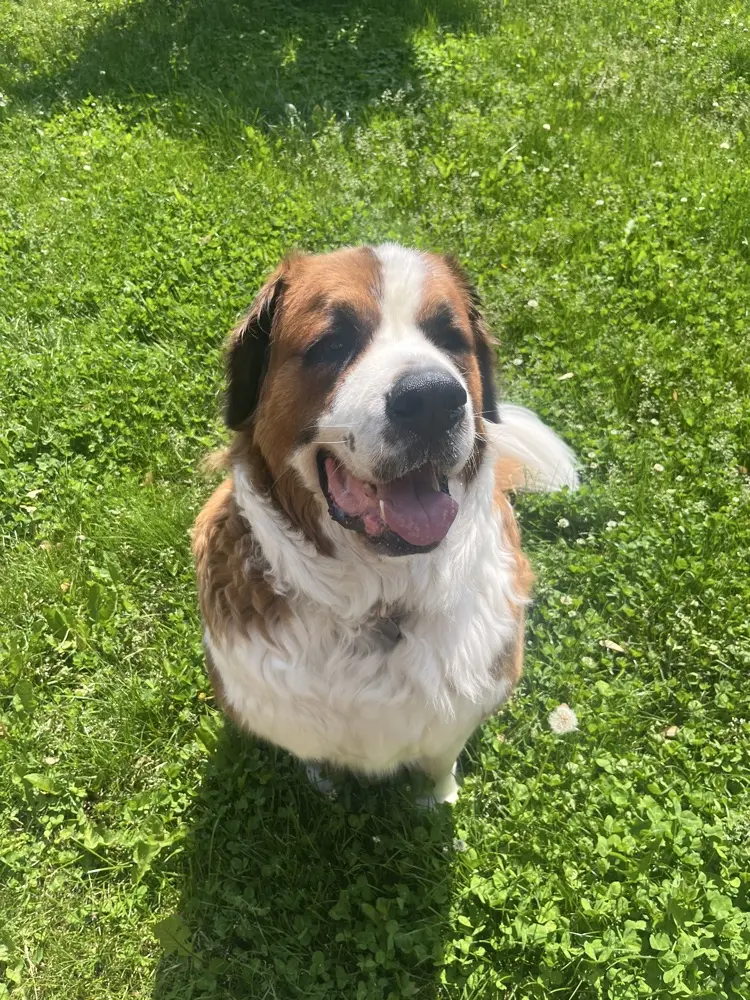 Face Written profile pic