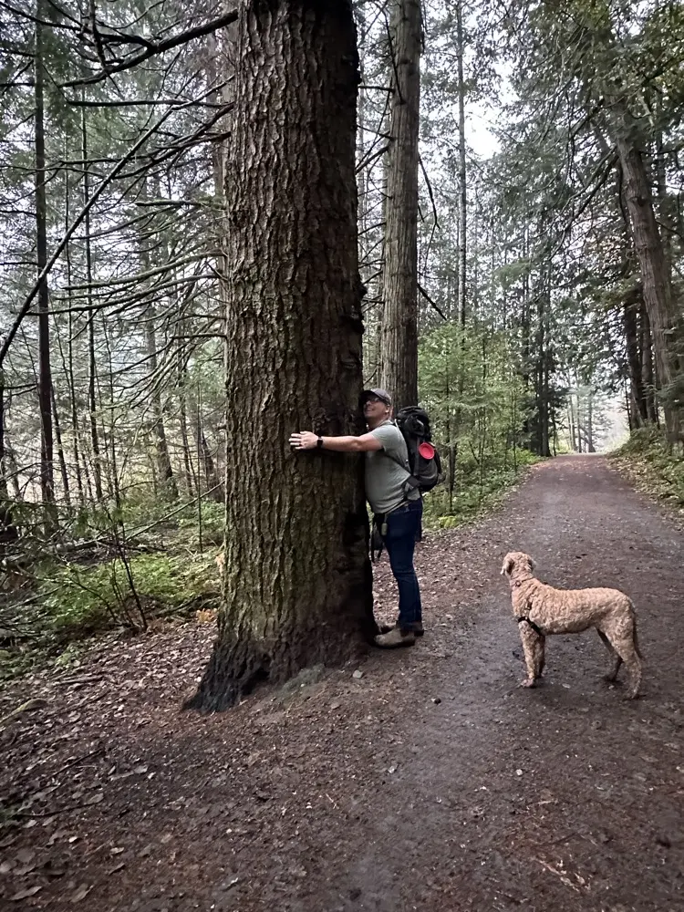 Andrew Delong profile pic