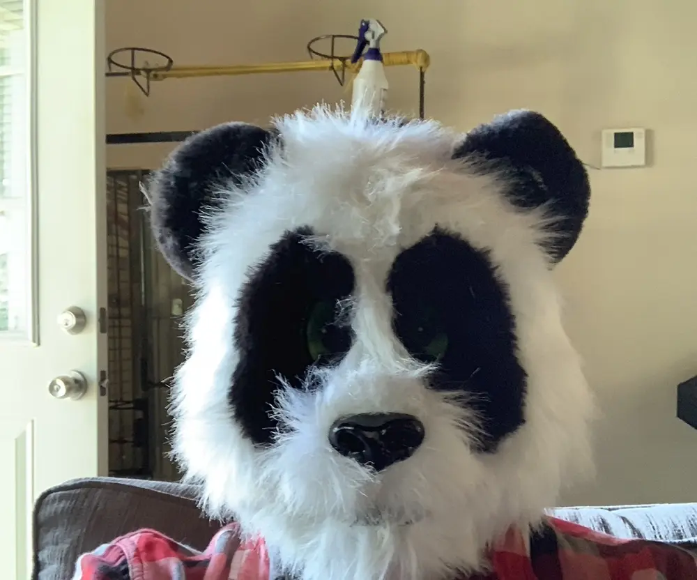 Dan P profile pic
