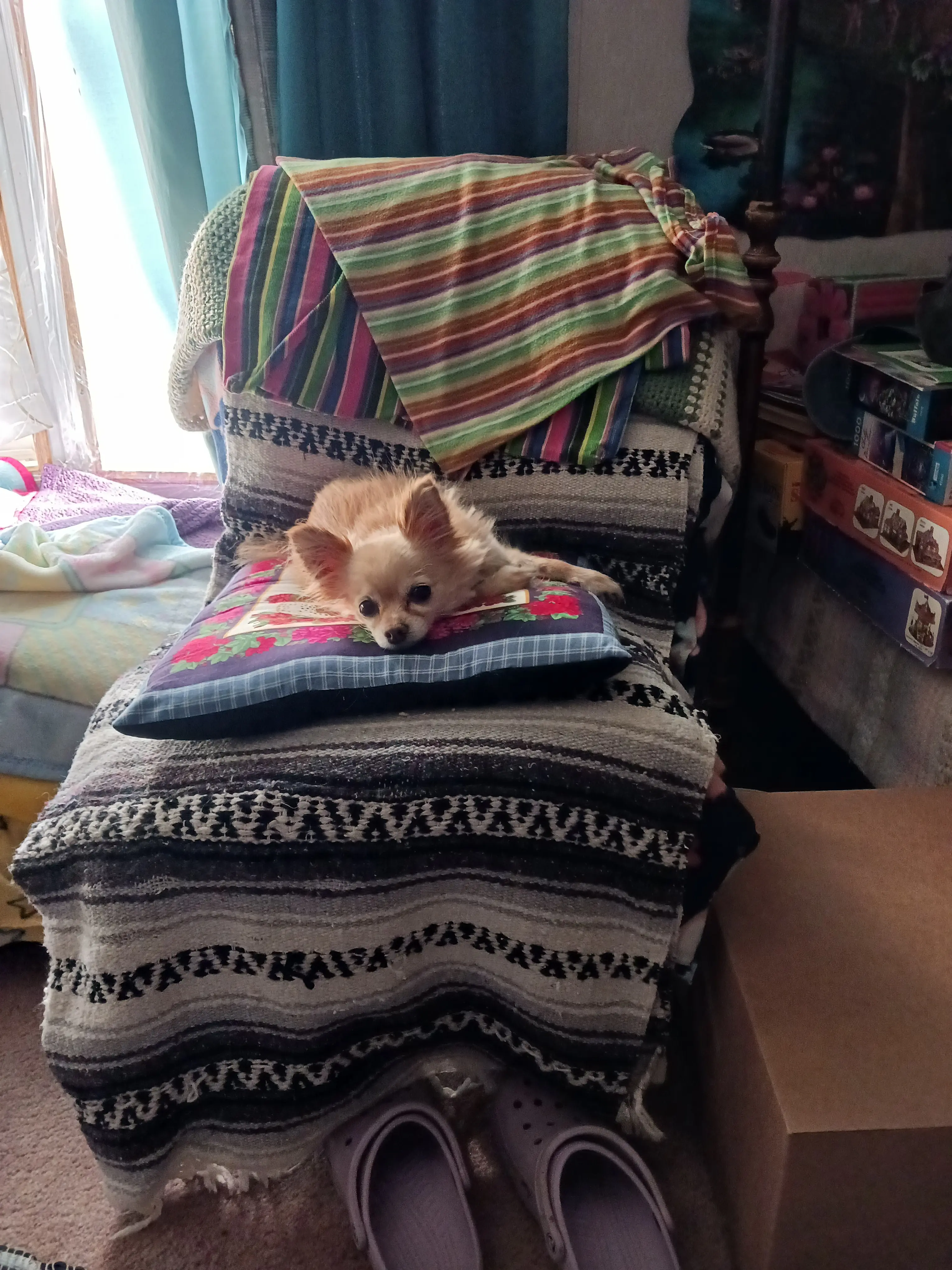 Taylor Inman profile pic