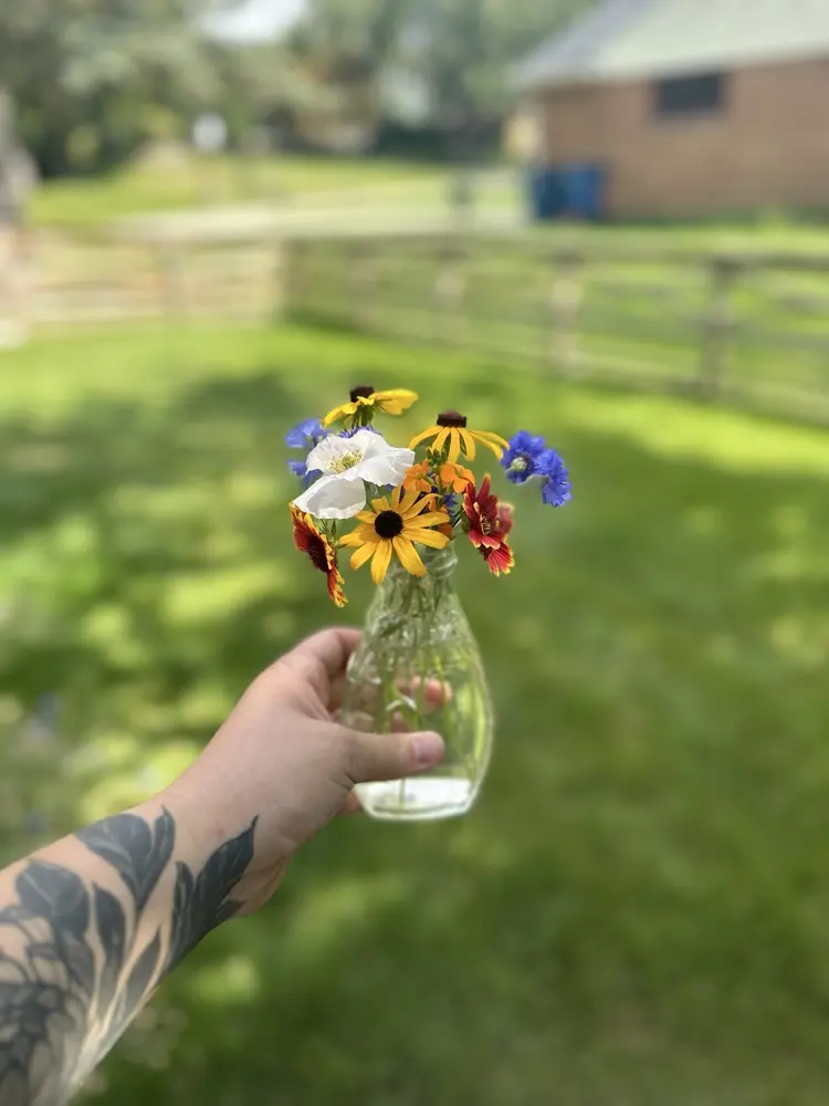 Alexandra Vader profile pic