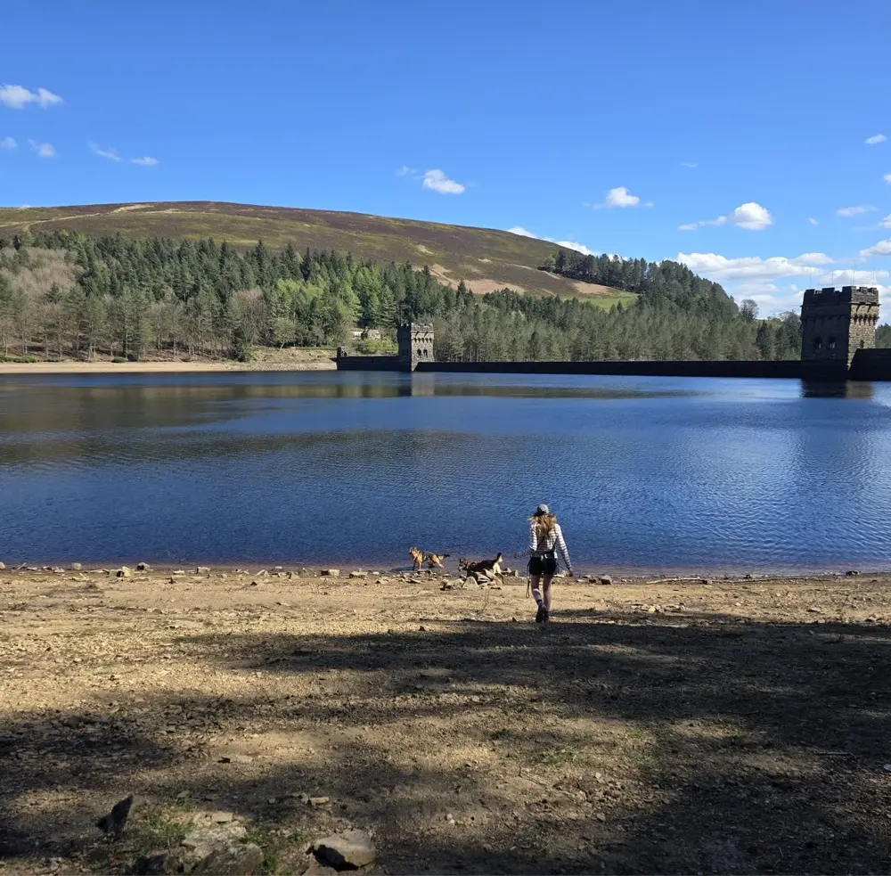 Han Is Reading Again avatar