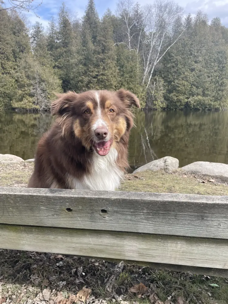 Darrah George profile pic