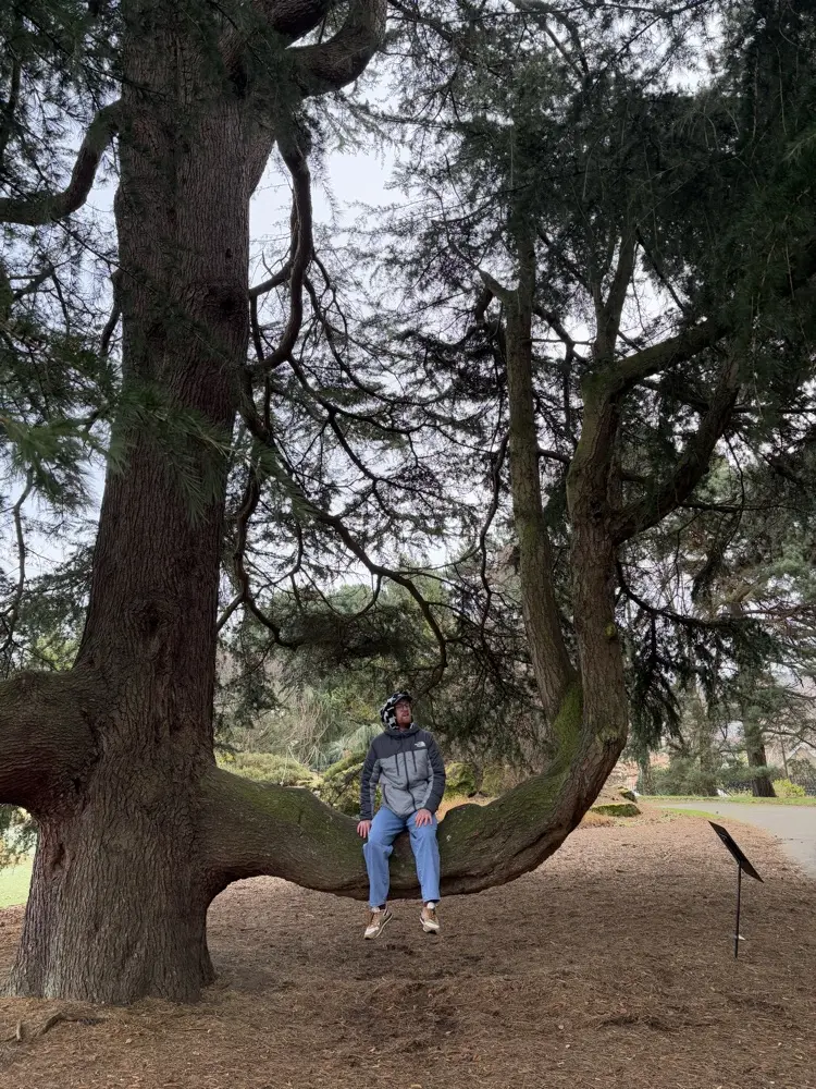 Kieran Sullivan profile pic