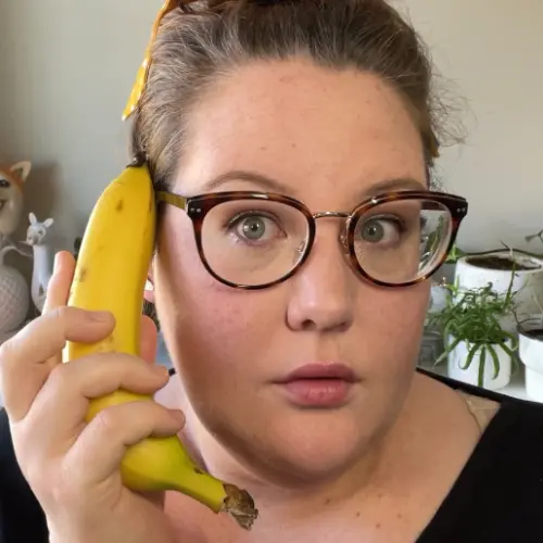 shibas.and.shelves profile pic