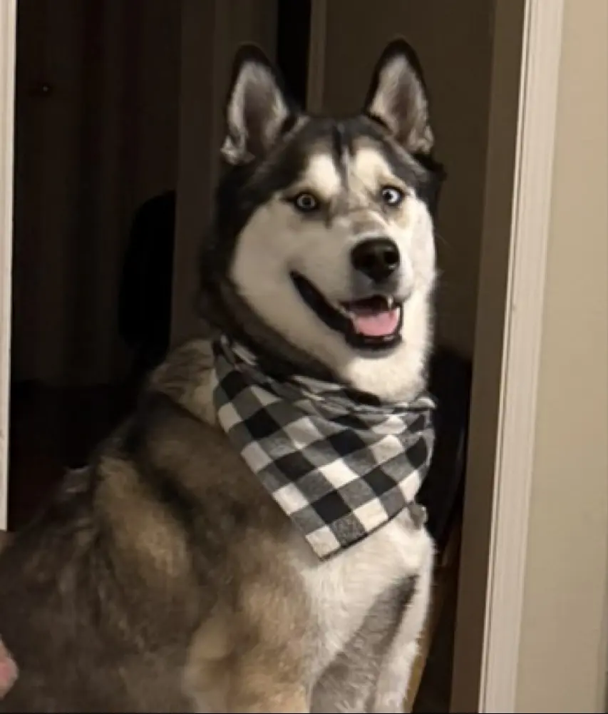 Kristine E profile pic