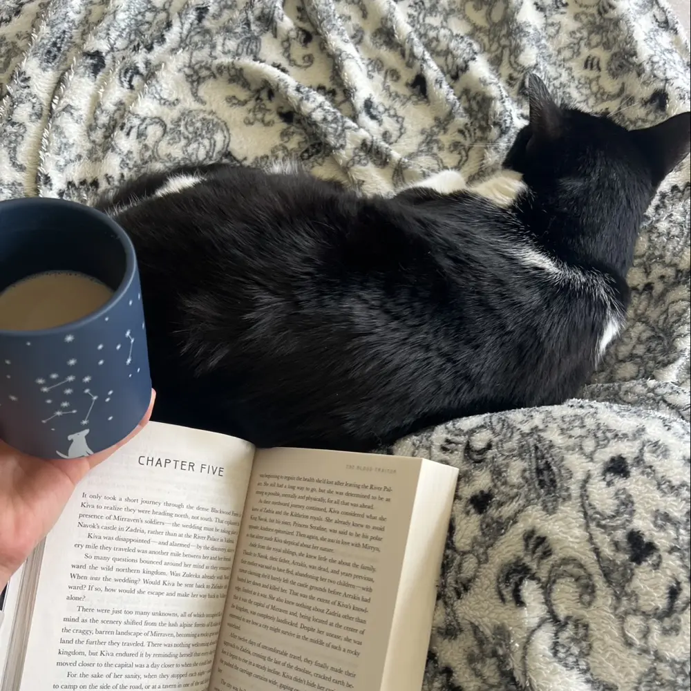 Rbradley23 profile pic