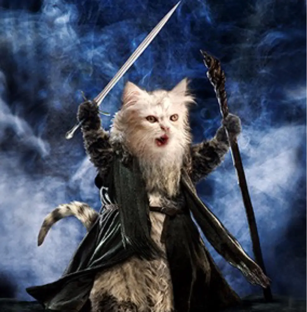 SilverGlass83 profile pic