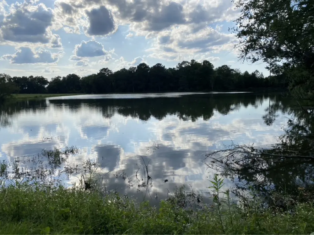 Freakforfiction profile pic