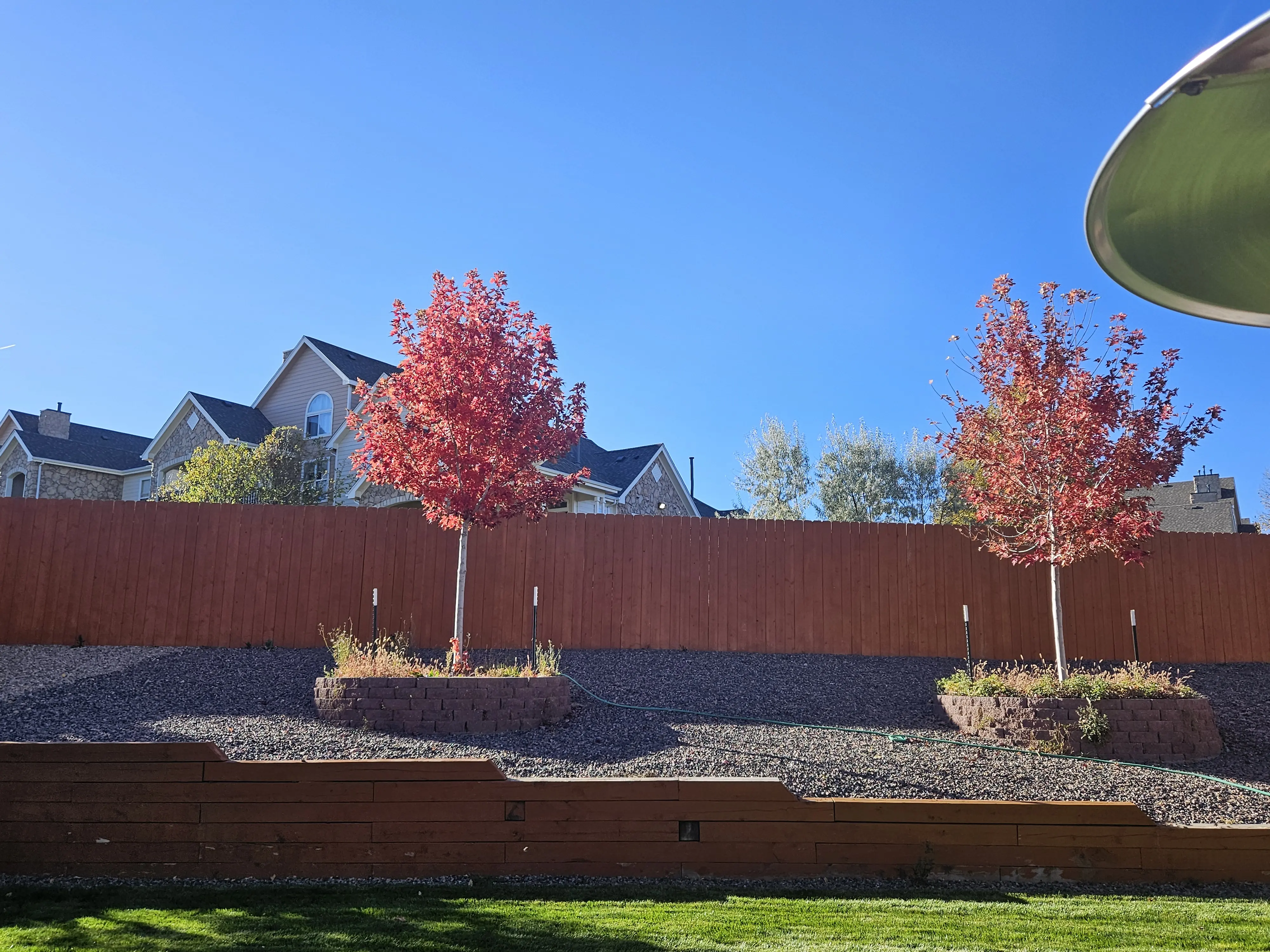 Mittys61 profile pic