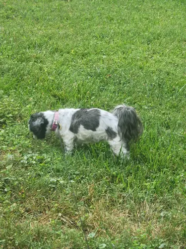 Michelle R profile pic