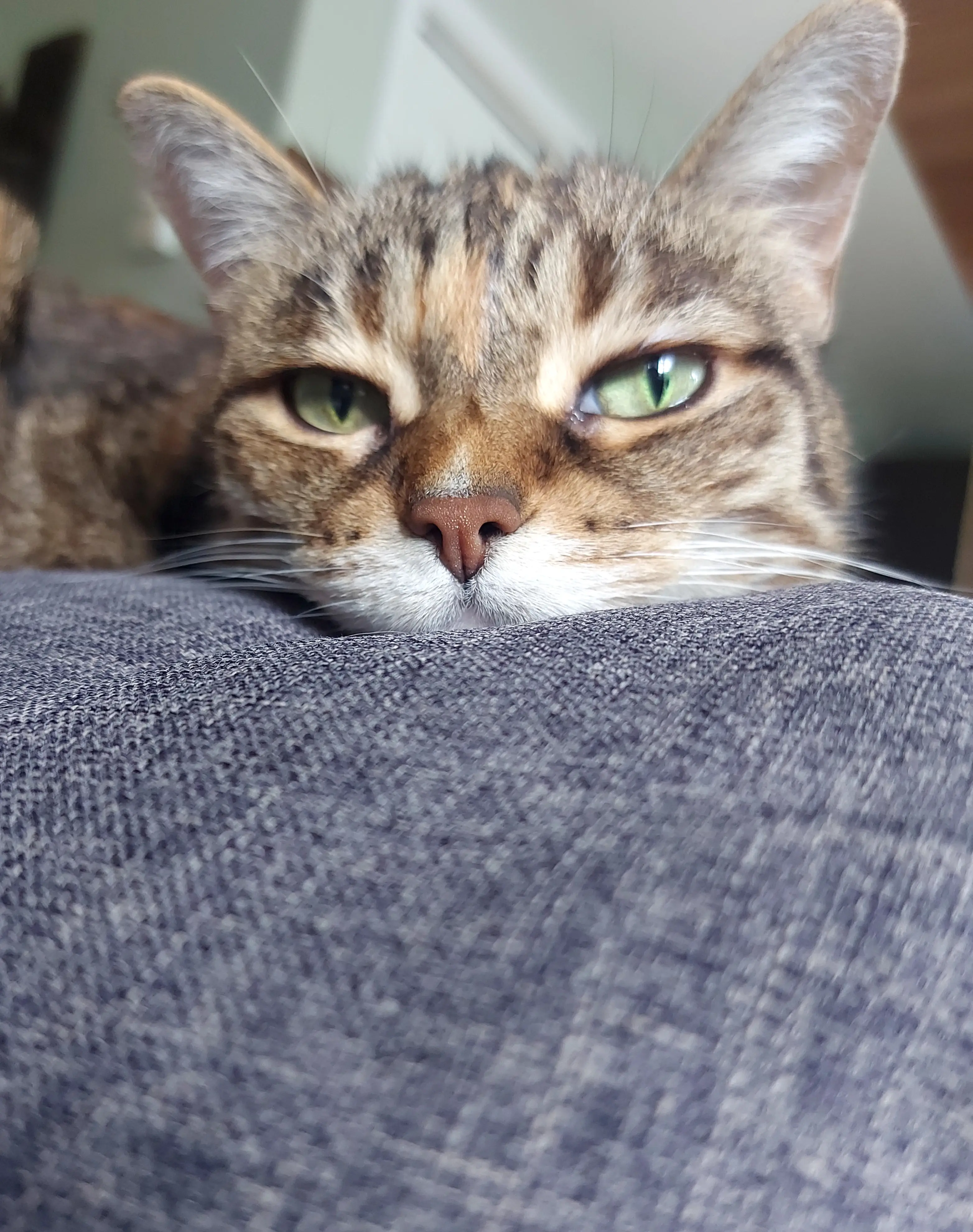 Mathie P profile pic