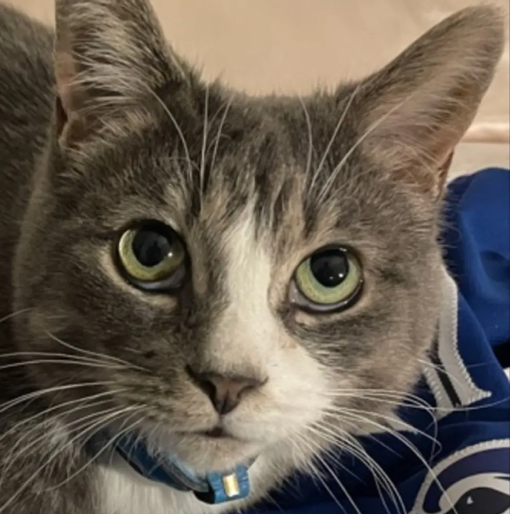 Leigh-La Middlebrooks profile pic