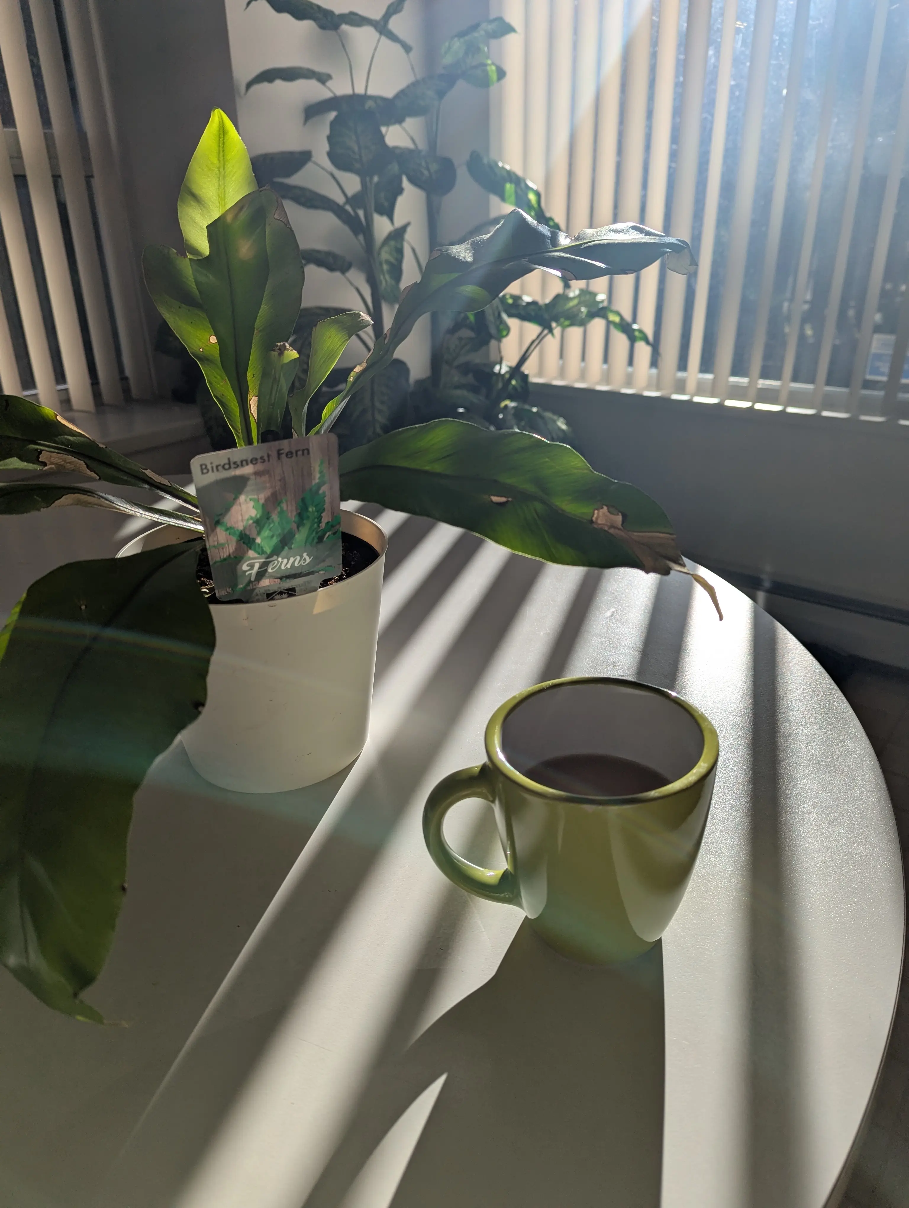 Elysia Danielle profile pic