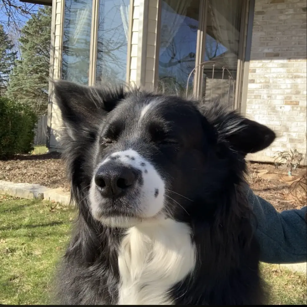 paraschuett profile pic