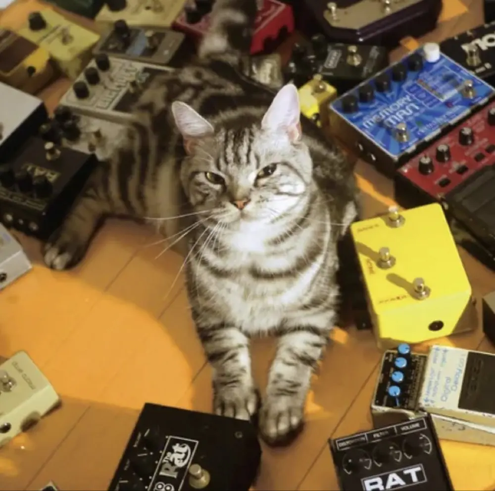 Ágætis profile pic