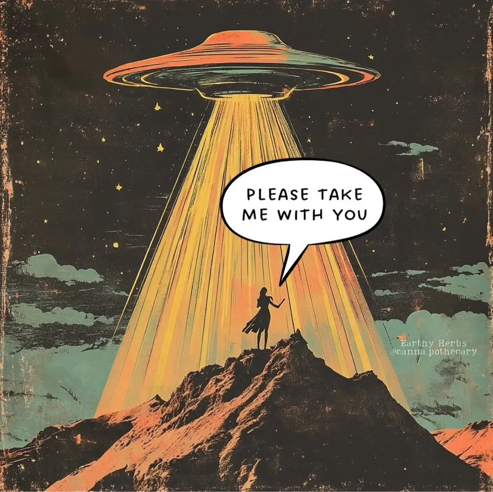 AmyOvies profile pic