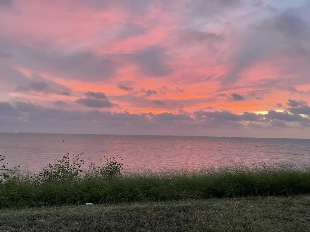 Angela DosCaras profile pic