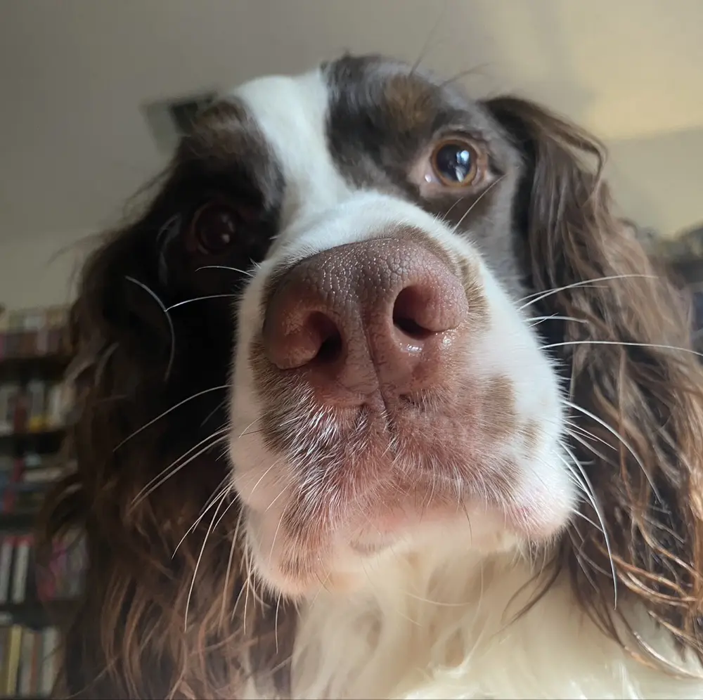 birds read books! profile pic