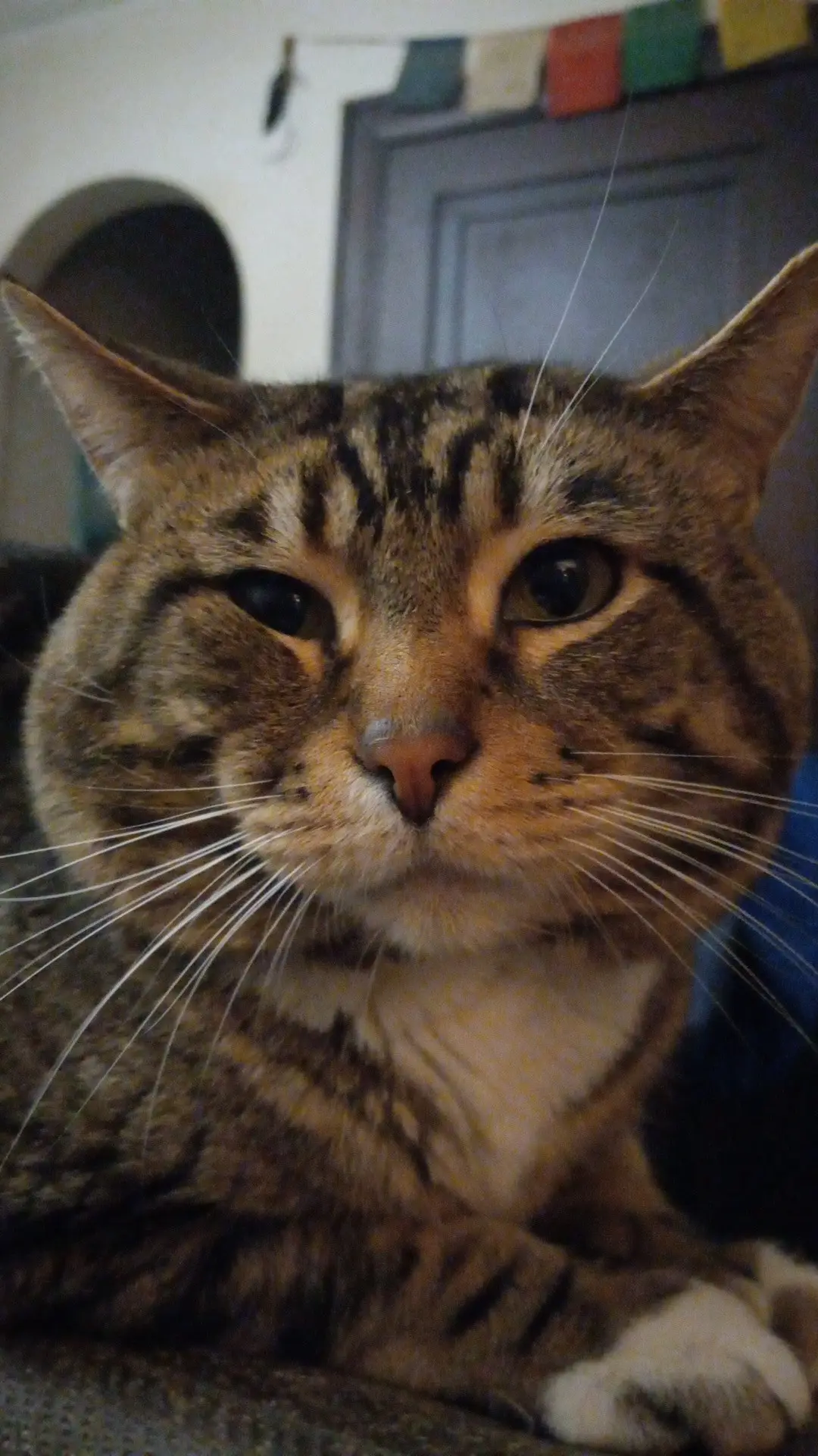 Laura Stuart profile pic