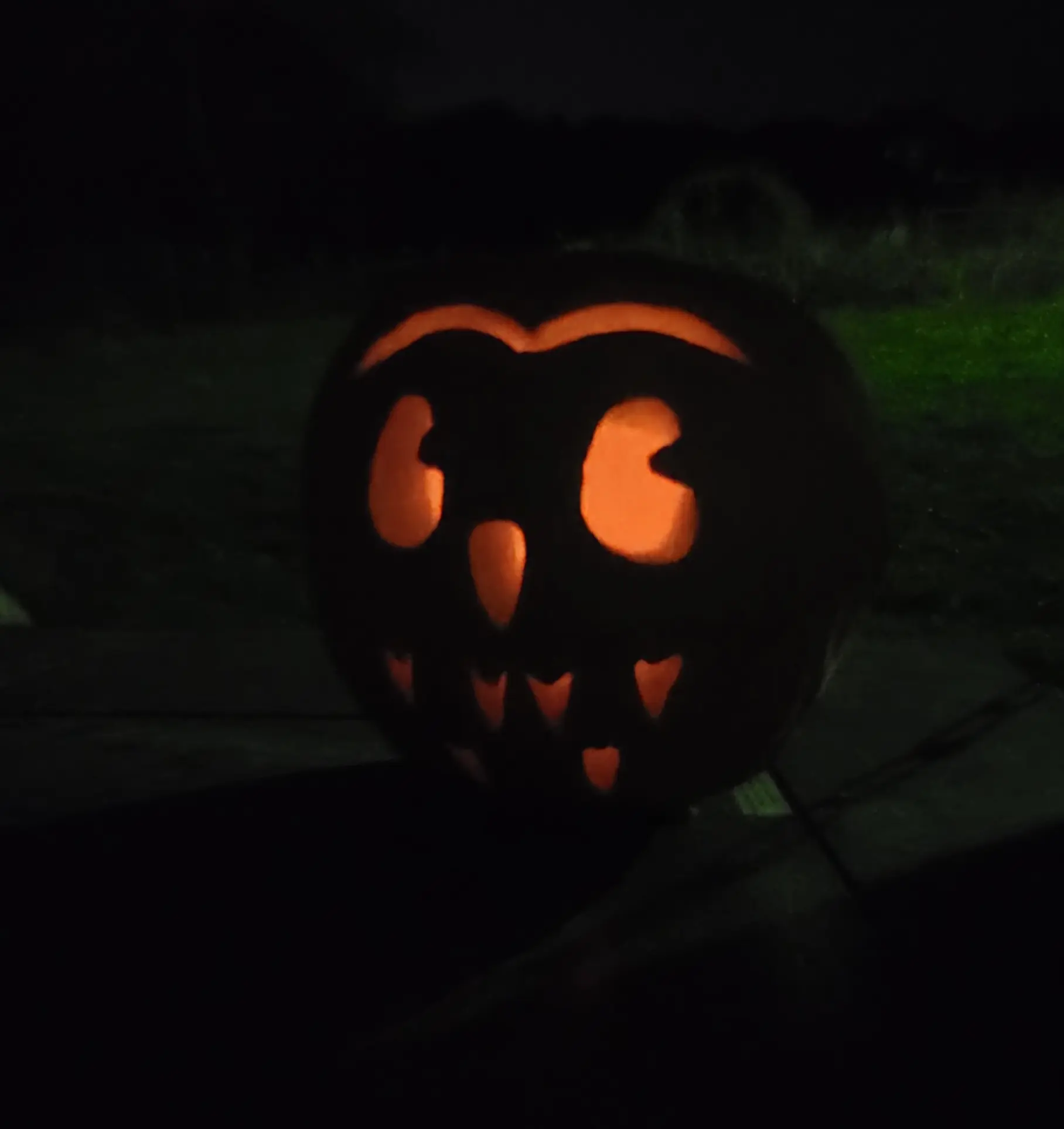 LuLu Bell 🦉 avatar