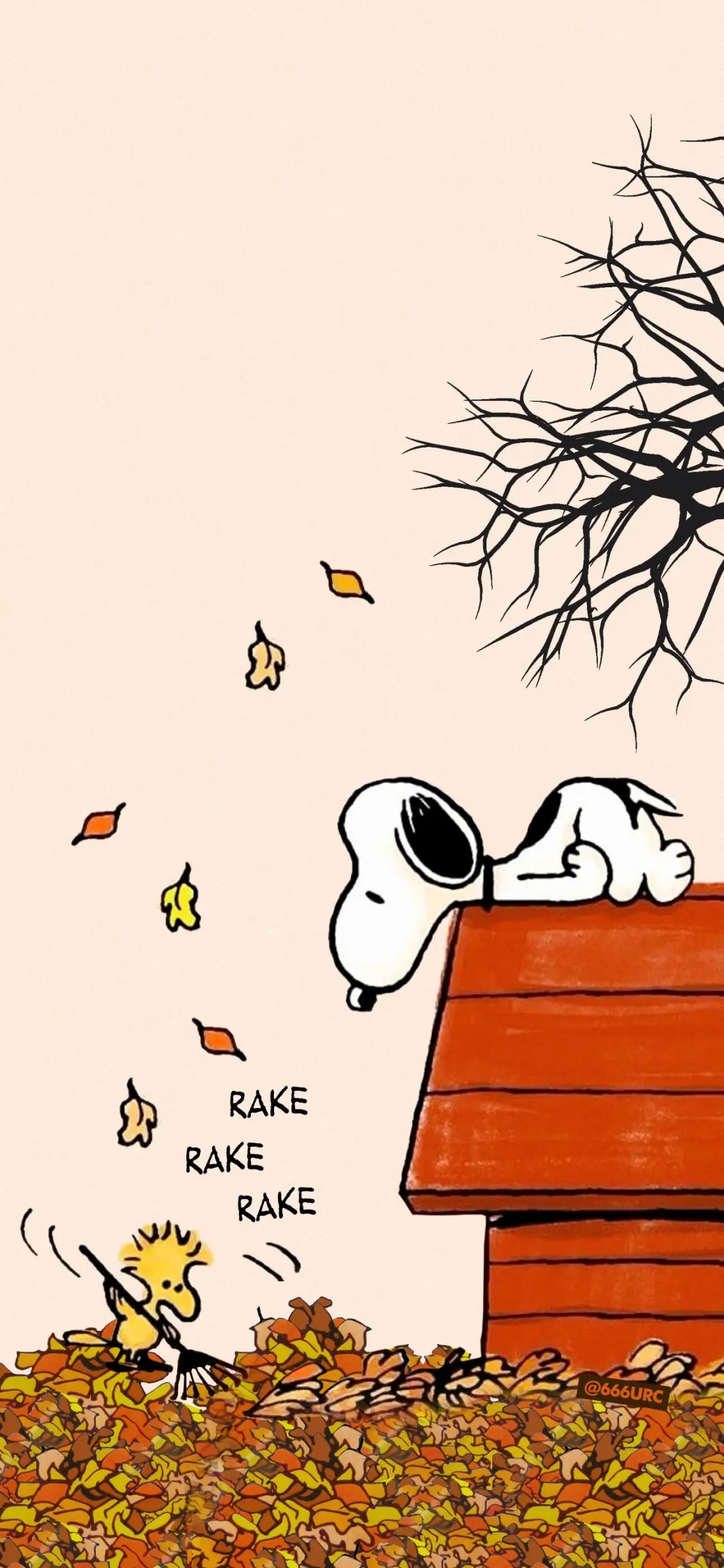 🍺✨️Anaïs✨️🪄 profile pic