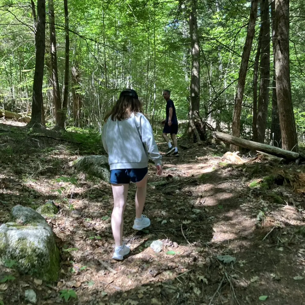 Violet Abady profile pic